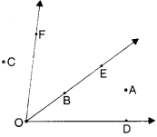 NCERT Solutions for Class 6 Maths Chapter 4 Basic Geometrical Ideas 16